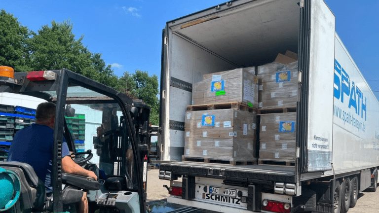 Image illustration don rapide